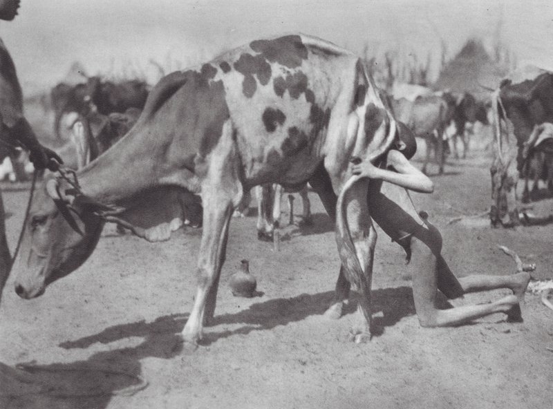 Afrika: (fekete-fehér fénykép) alkotó: Hugo Adolf Bernatzik