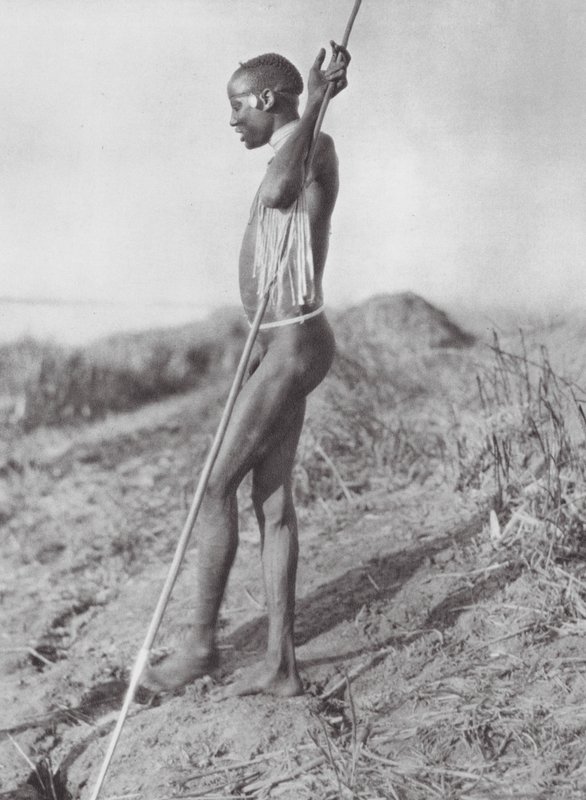 Afrika: Dinka a Fehér-Nílusból (fekete-fehér fotó) alkotó: Hugo Adolf Bernatzik