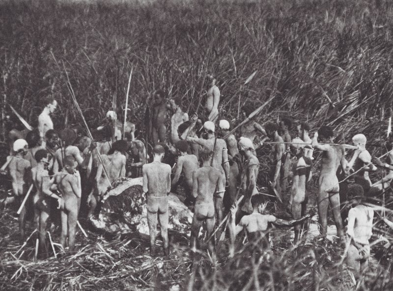 Afrika: Nuer vadászok elefánttetemmel (fekete-fehér fotó) alkotó: Hugo Adolf Bernatzik