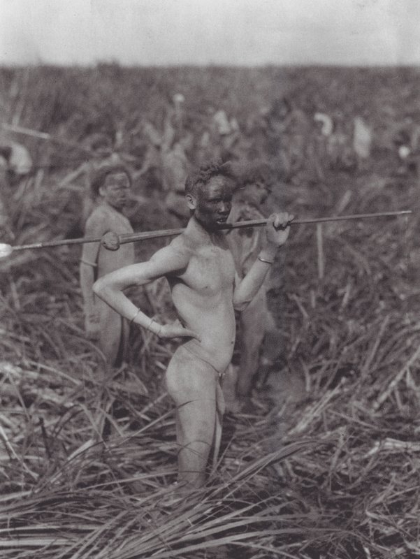 Afrika: Nuer harcosok a mocsárban (fekete-fehér fotó) alkotó: Hugo Adolf Bernatzik