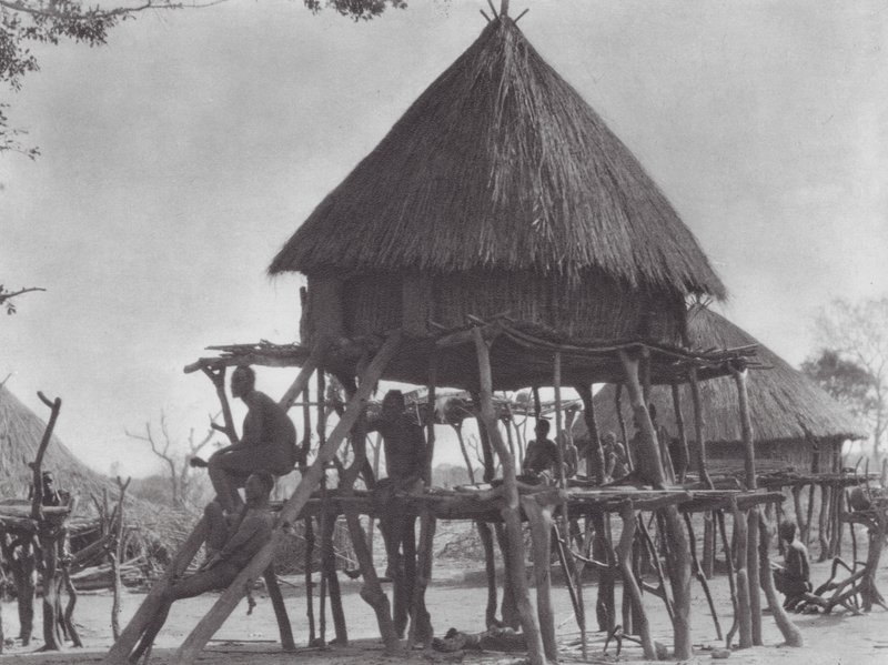 Afrika: Djur (fekete-fehér fénykép) alkotó: Hugo Adolf Bernatzik