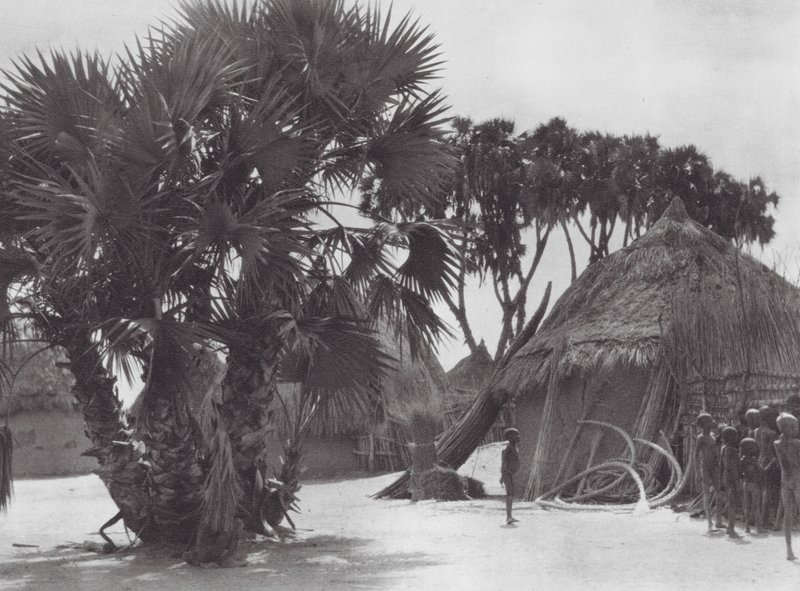 Afrika: Shilluk falu a Fehér-Níluson (fekete-fehér fotó) alkotó: Hugo Adolf Bernatzik
