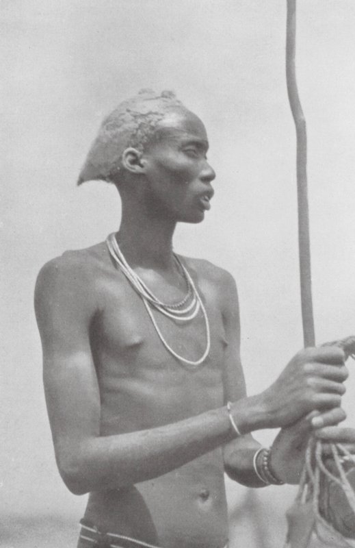Dinka-Neger (fekete-fehér fotó) alkotó: Hugo Adolf Bernatzik
