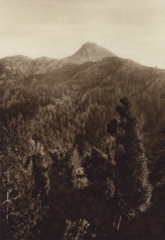 Mexikó: Nevado de Colima, részleges nézet (fekete-fehér fotó) alkotó: Hugo Brehme