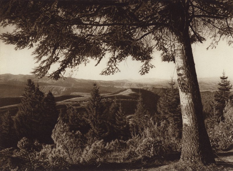 Mexikó: Nemzeti park, Desierto de los Leones (fekete-fehér fénykép) alkotó: Hugo Brehme