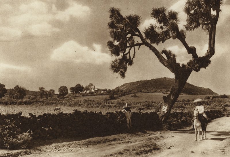 Mexikó: Patzcuaro, El Calvario, Michoacan állam (fekete-fehér fénykép) alkotó: Hugo Brehme