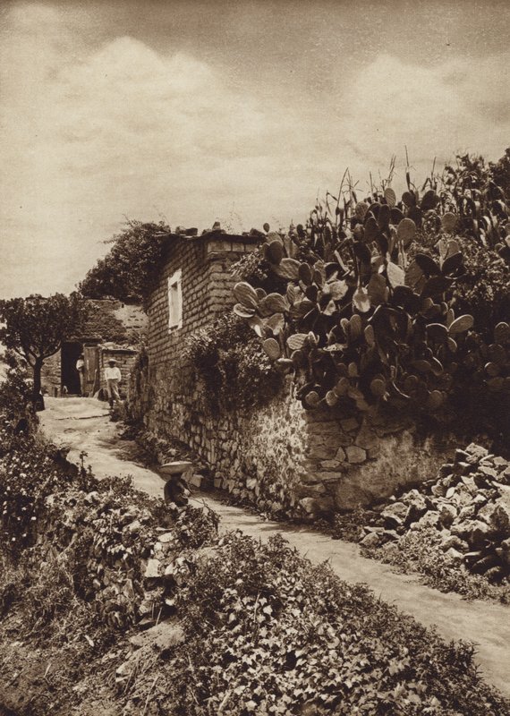 Mexikó: Festői sarok San Angel D F-ben (fekete-fehér fénykép) alkotó: Hugo Brehme