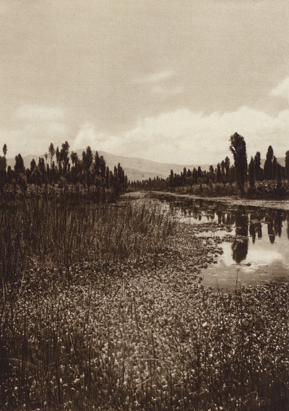 Mexikó: Xochimilco, Az egyik fő csatorna (fekete-fehér fotó) alkotó: Hugo Brehme