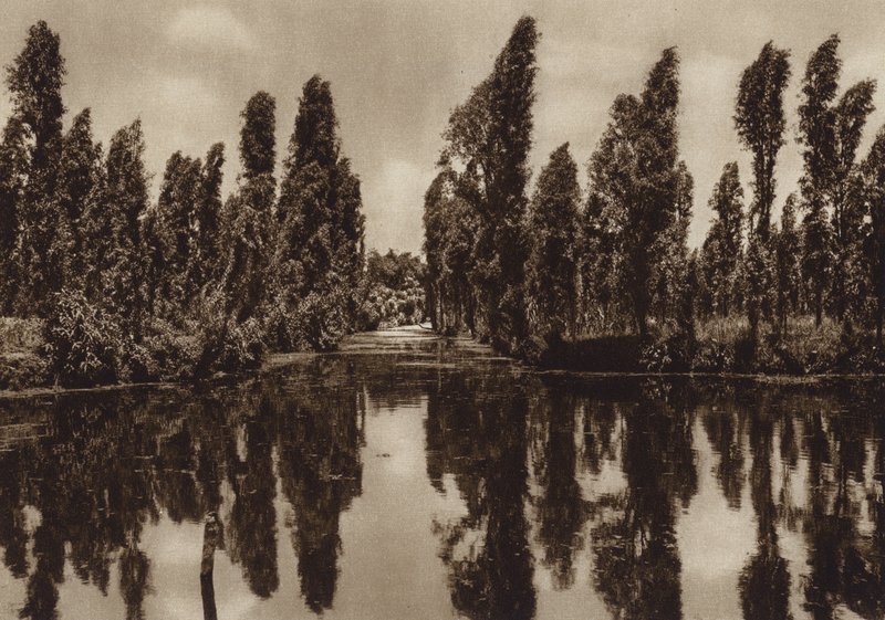 Mexikó: Xochimilco az úgynevezett "úszó kertekkel" (fekete-fehér fotó) alkotó: Hugo Brehme