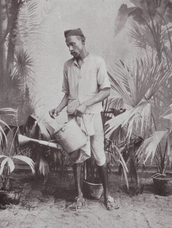 Bombay / Mumbai: Kertész (fekete-fehér fotó) alkotó: Indian photographer