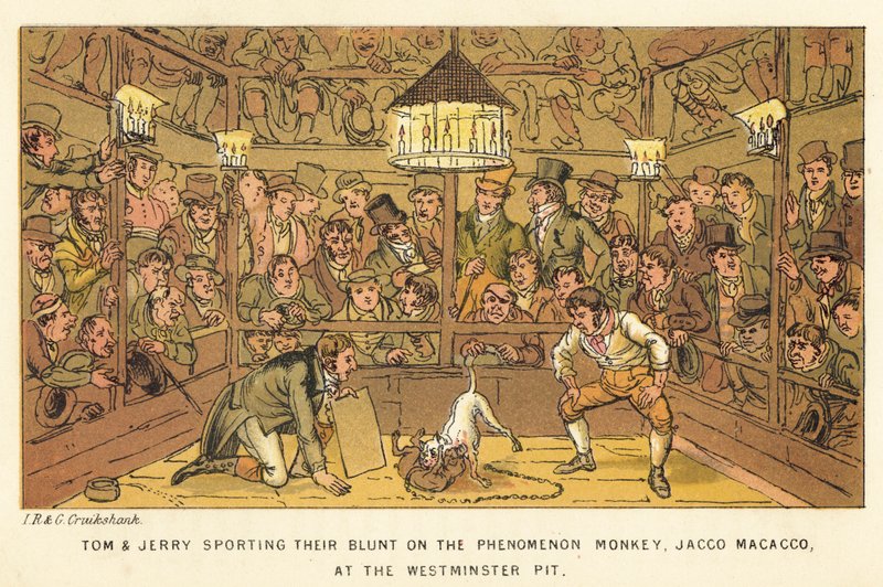 Tom és Jerry a Phenomenon Monkey-n, Jacco Macacco-n a Westminster Pit-ben. alkotó: Isaac, Robert and George Cruikshank