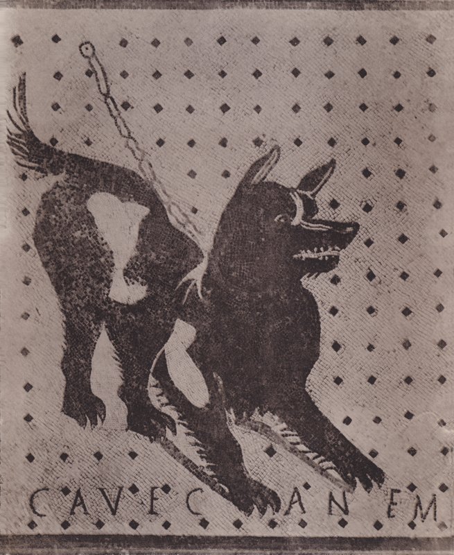 Mozaik, Cave Canem, Mozaik, Cave Canem (f/w fotó) alkotó: Italian Photographer