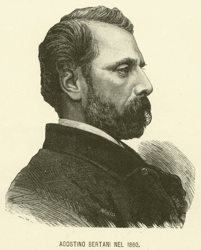 Agostino Bertani 1860-ban (metszet) alkotó: Italian School