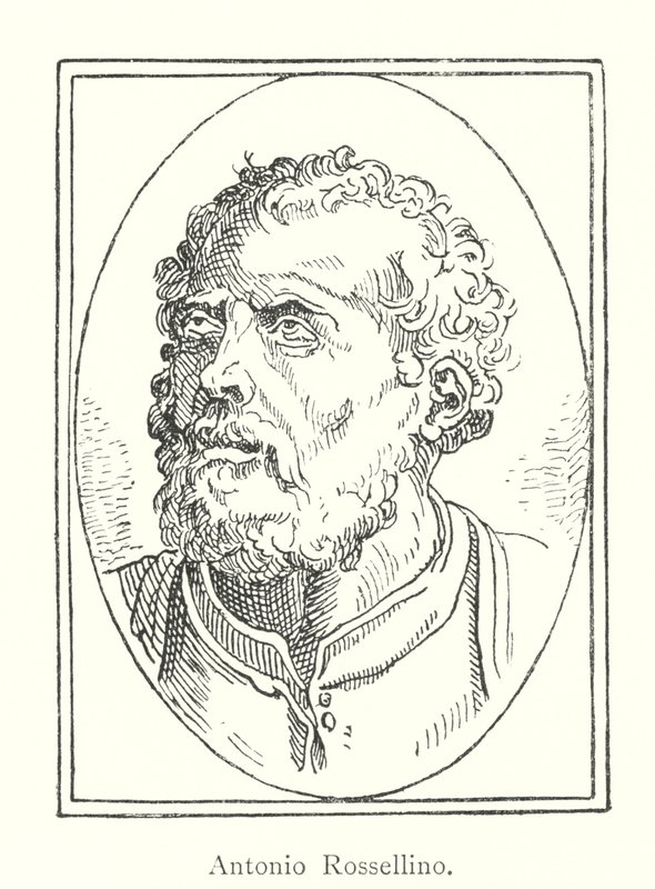 Antonio Rossellino (metszet) alkotó: Italian School