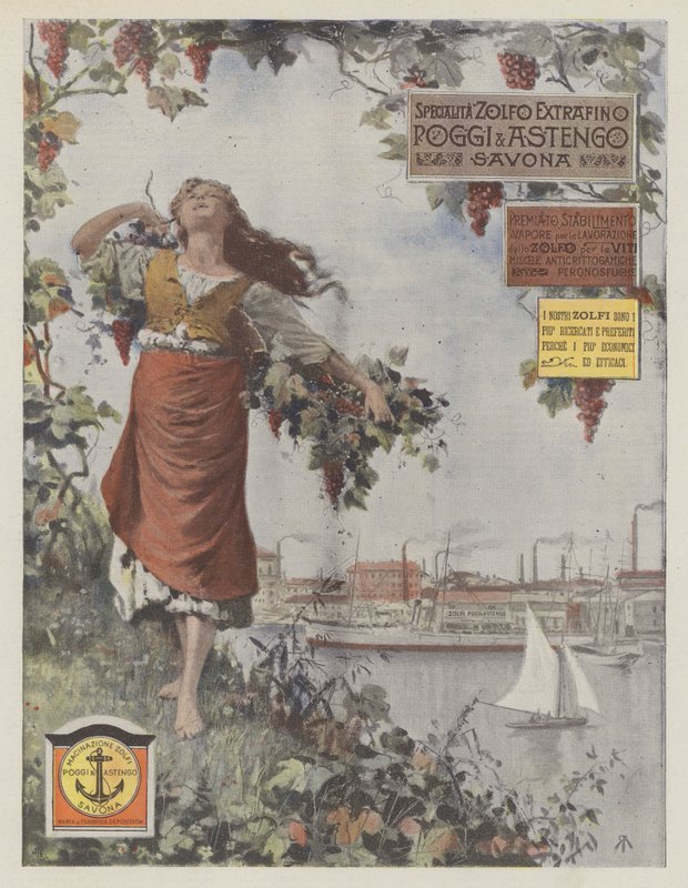 Poggi  Astengo (színes litográfia) alkotó: Italian School