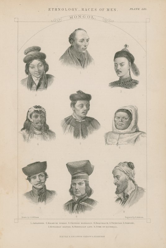 Különböző mongol fajok kilenc arca alkotó: J.L. Williams