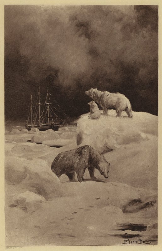 Peary a sarkvidéki régiókban (litho) alkotó: J. (after) Steeple Davis