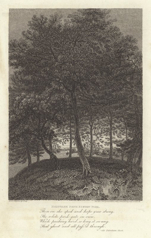 Robert Bloomfield, költő: Fakenham az Euston Parkból (metszet) alkotó: J. Greig