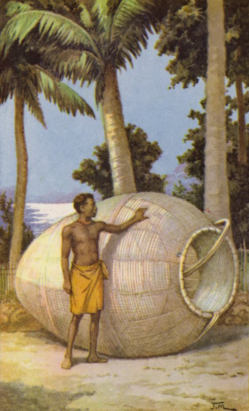 Új-guineai férfi halcsapdával (színes litho) alkotó: J. Macfarlane
