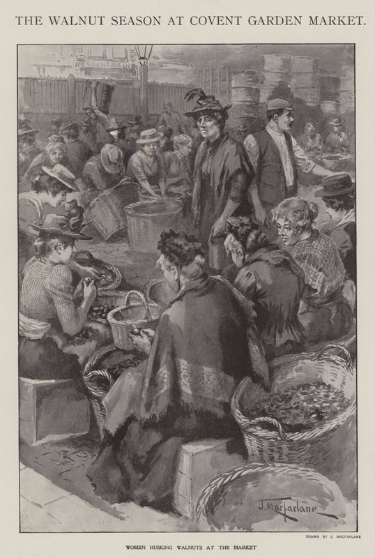 Diószezon a londoni Covent Garden Marketen (litho) alkotó: J. Macfarlane