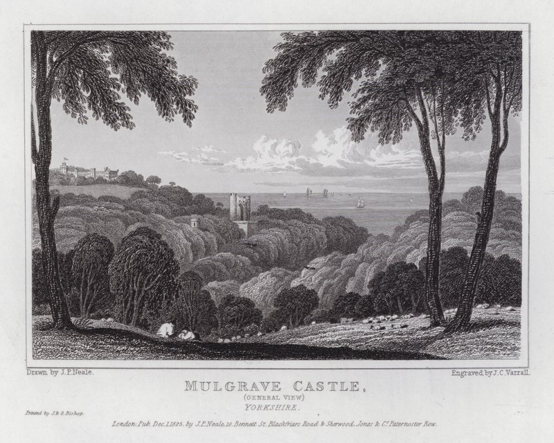 Mulgrave kastély, általános kilátás, Yorkshire (metszet) alkotó: John Preston Neale