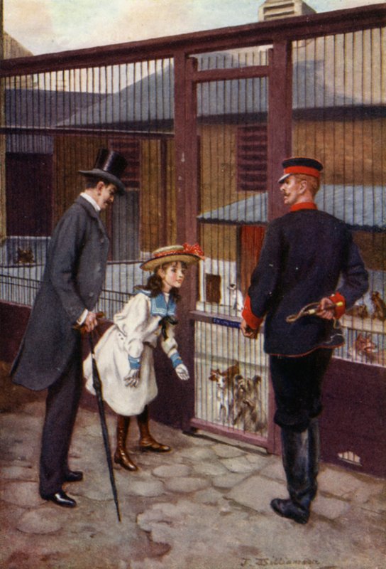 Ethel megtalálja Scampet (színes litó) alkotó: J. Williamson