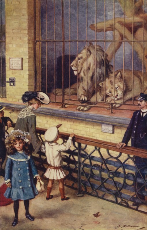A londoni állatkert Oroszlánházban alkotó: J. Williamson
