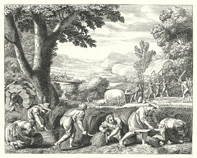 Szüreti jelenet (metszet) alkotó: Jacques Stella