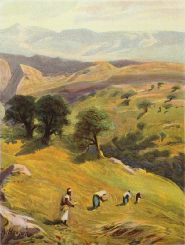 Jeruzsálem és Jerikó között (színes litó) alkotó: James (after) Clark