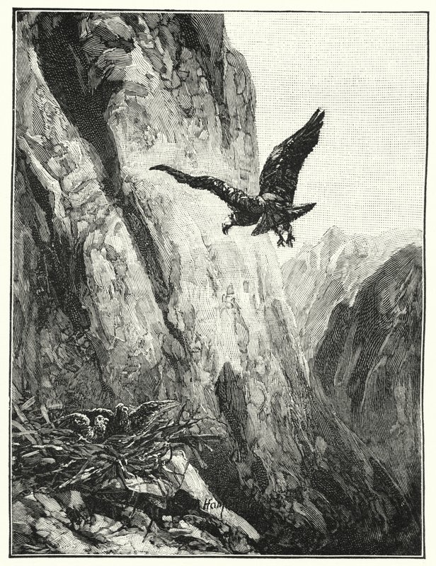 Sasfészek a Sínai-hegyen (litho) alkotó: James (after) Clark