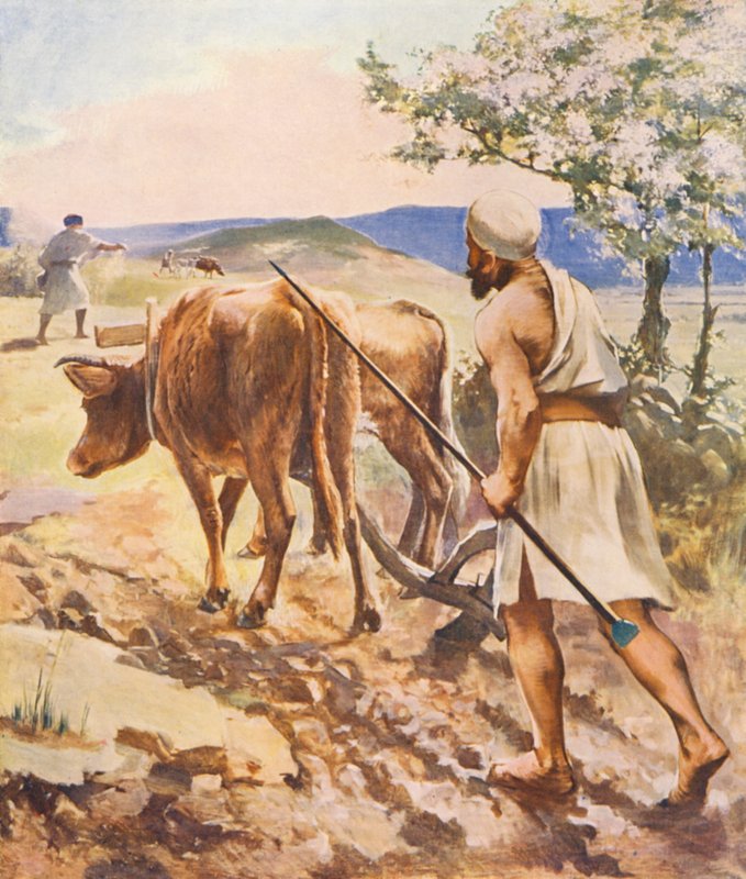 Szentföld: Názáret közelében szántás (színes litográfia) alkotó: James (after) Clark