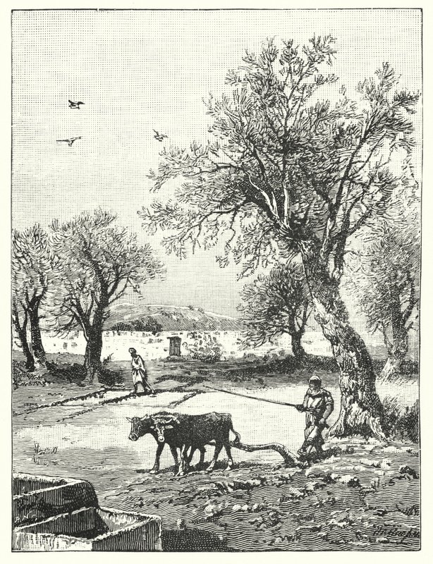 Szántás szőlőben (litho) alkotó: James (after) Clark