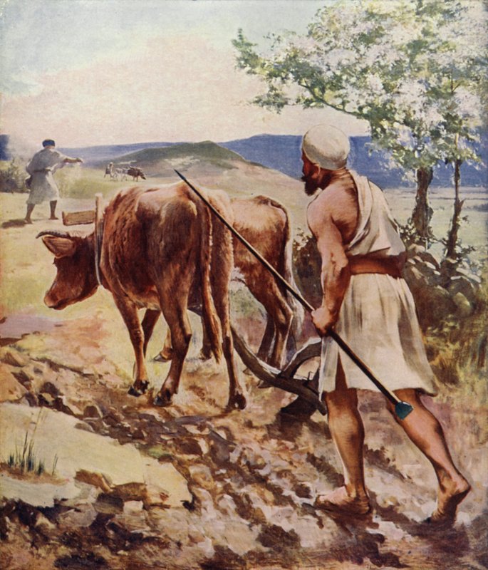 Szántás Názáret közelében alkotó: James Clark
