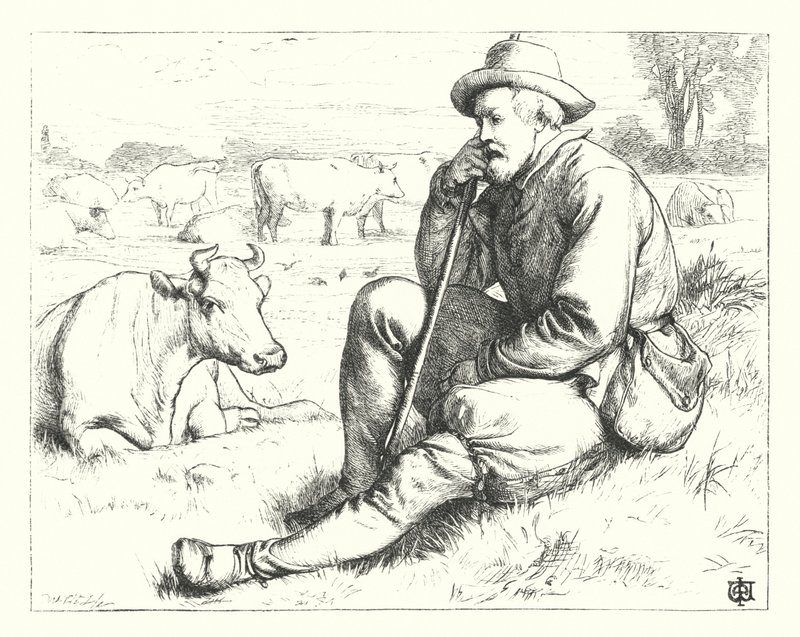 Az átlagos birtok a legboldogabb (metszet) alkotó: James Dawson Watson
