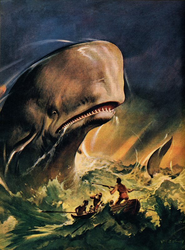 Moby Dick (színes litográfia) alkotó: James Edwin McConnell