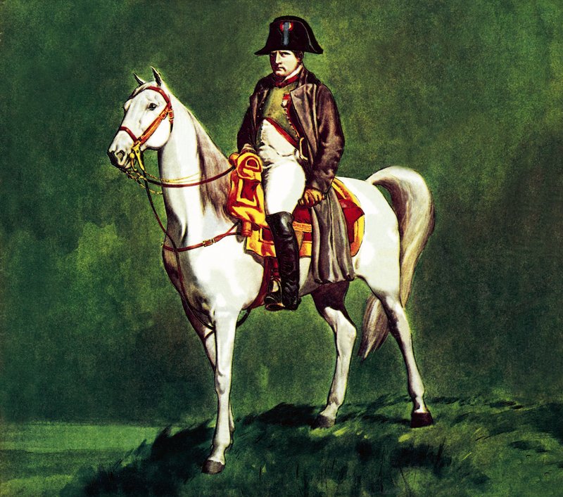 Napóleon kedvenc lován, a "Marengo" lovon. alkotó: James Edwin McConnell