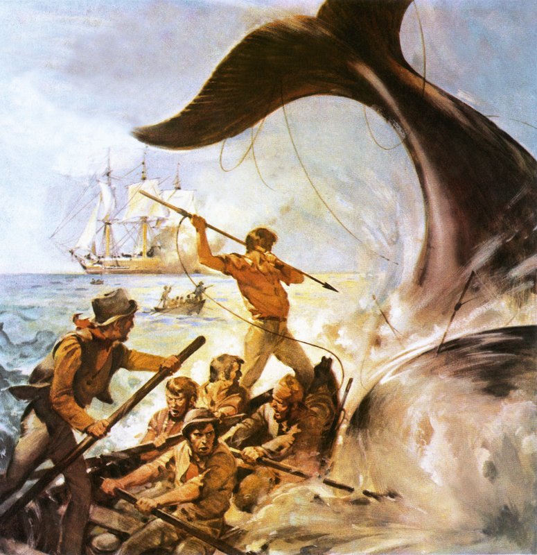 Peter a bálnavadász alkotó: James Edwin McConnell