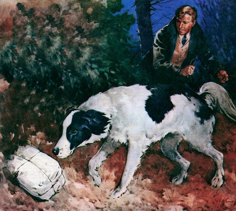 Pickles, a világbajnokság kutyája (színes litográfia) alkotó: James Edwin McConnell