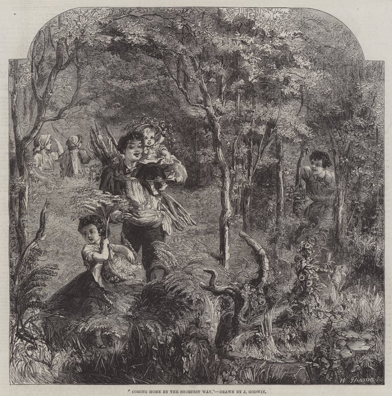 Hazatérés a legrövidebb úton alkotó: James Godwin