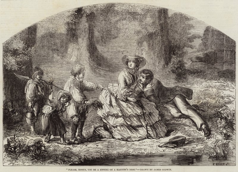 Kérem, asszonyom, legyen a Harnitt fészkén egy Zitting alkotó: James Godwin