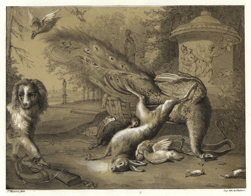 Csendélet egy pávával és egy kutyával alkotó: Jan Baptist Weenix