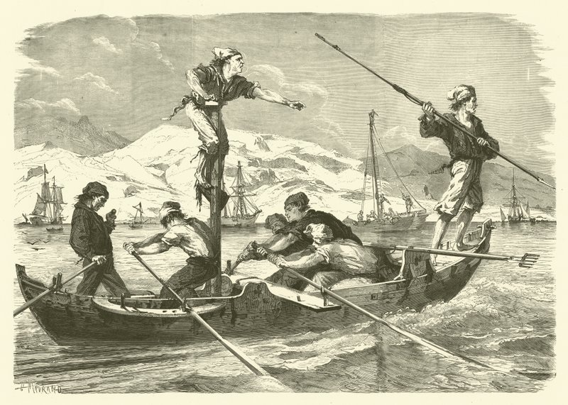 Kardhal halászata Szicília partjainál (metszet) alkotó: Jean Baptiste Henri Durand Brager