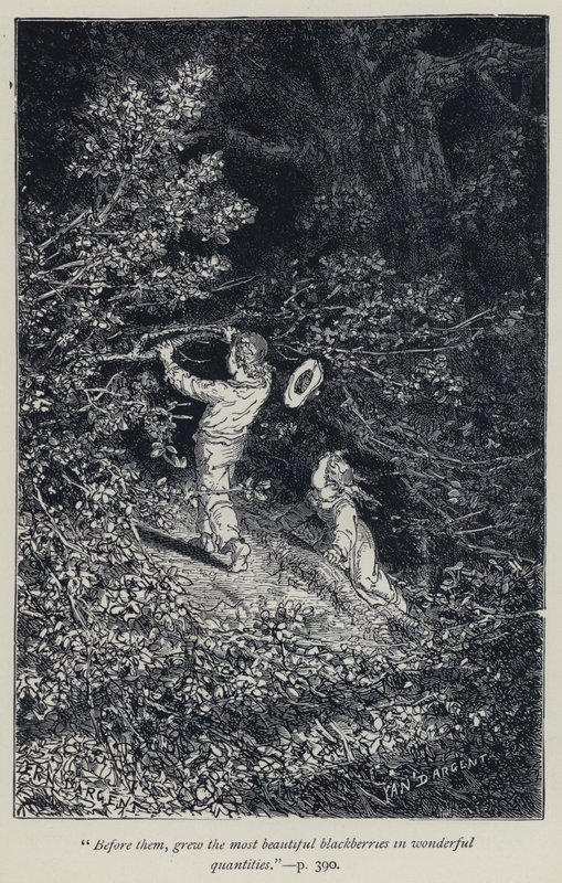 "Előttük a legszebb szeder termesztette csodálatos mennyiségben" (metszet) alkotó: Jean Edouard Dargent