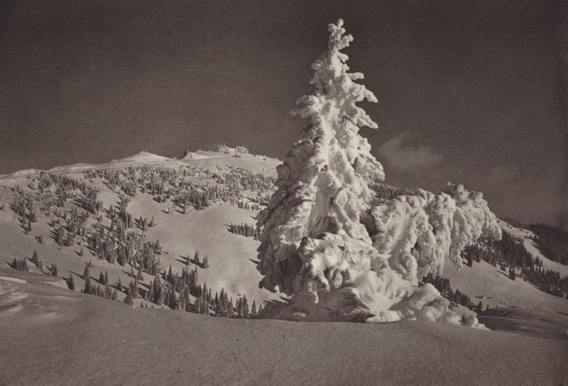 Rigi Kaltbad, Skigelande és Rigi Kulm (f/w fotó) alkotó: Jean Gaberell