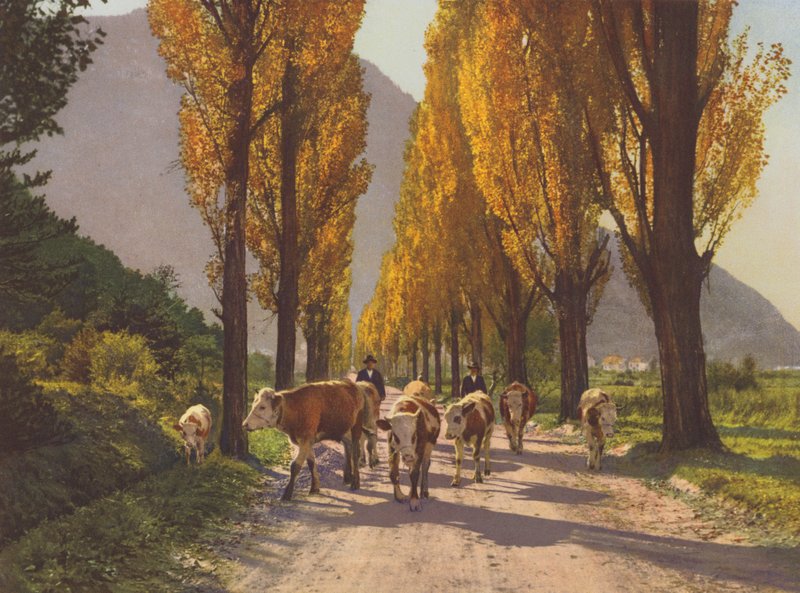 Svájc: A Rhone-völgy Visp közelében (színes fotó) alkotó: Jean Gaberell