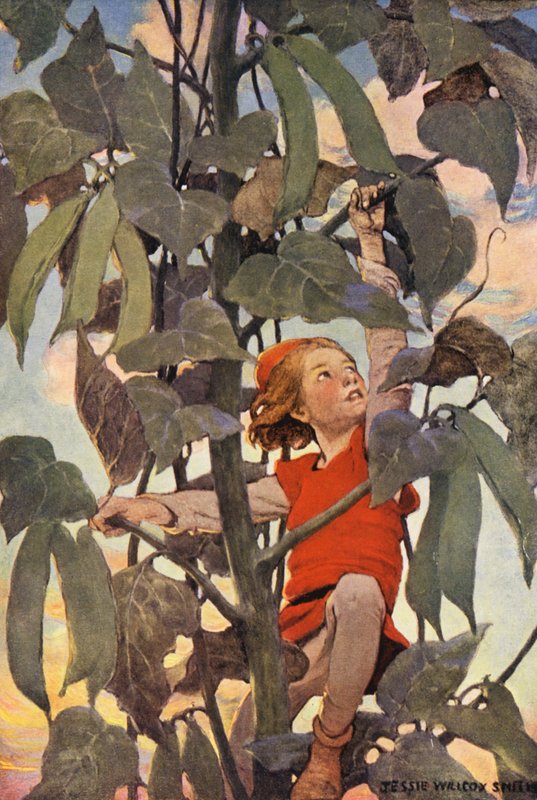 Jack és a babszár (színes litográfia) alkotó: Jessie Willcox Smith