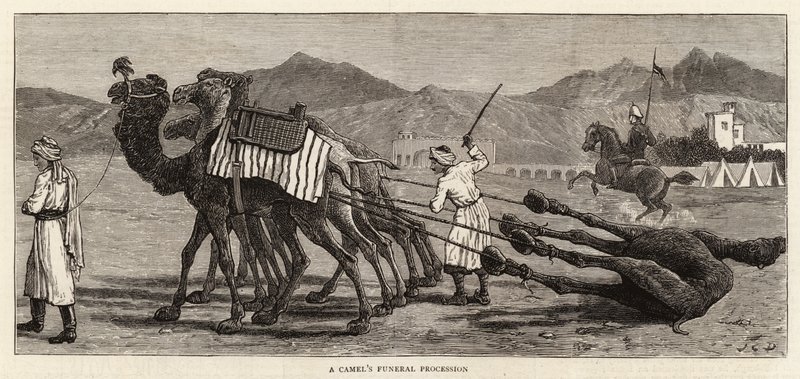 Egy teve temetési menete alkotó: John Charles Dollman