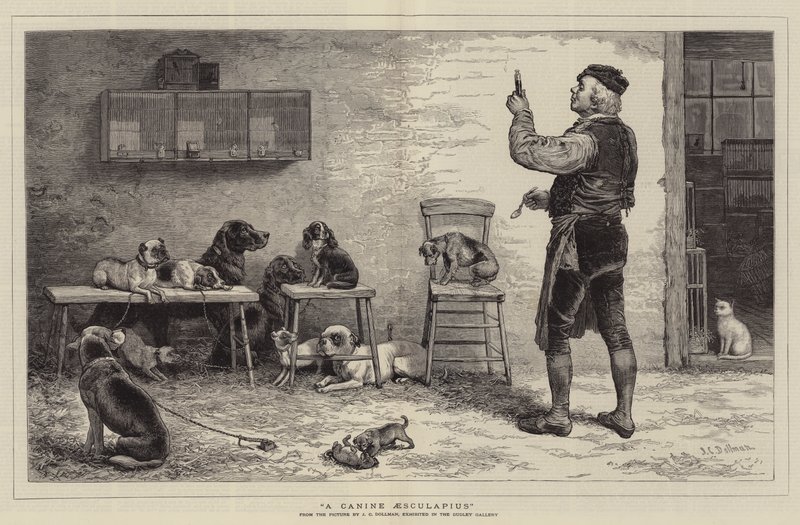 Egy kutya Aesculapius alkotó: John Charles Dollman