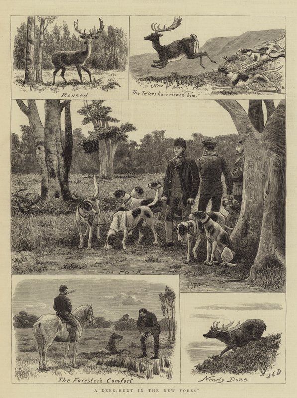 Szarvasvadászat az Újerdőben alkotó: John Charles Dollman