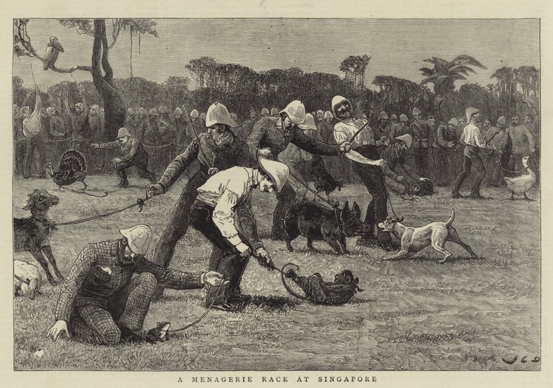 Menagerie Race Szingapúrban alkotó: John Charles Dollman